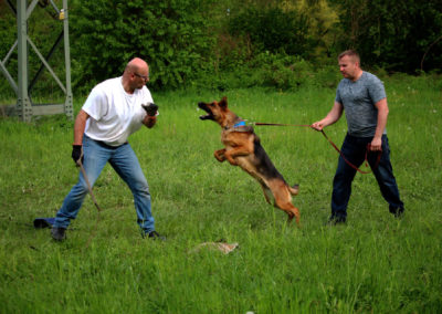 Canis Viridis szkolenie z obrony 2