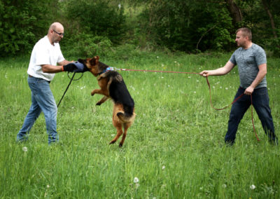 Canis Viridis szkolenie z obrony